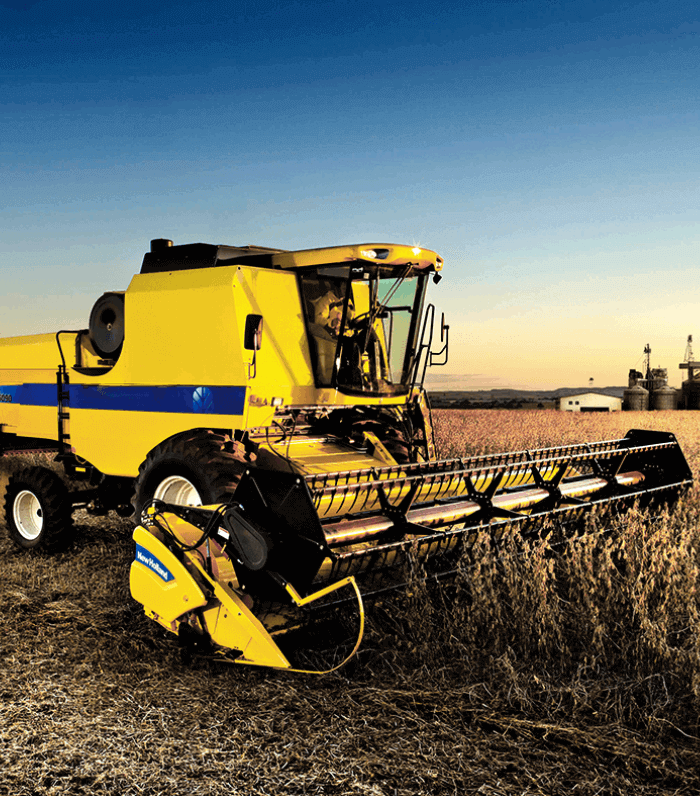 Image Title My Image